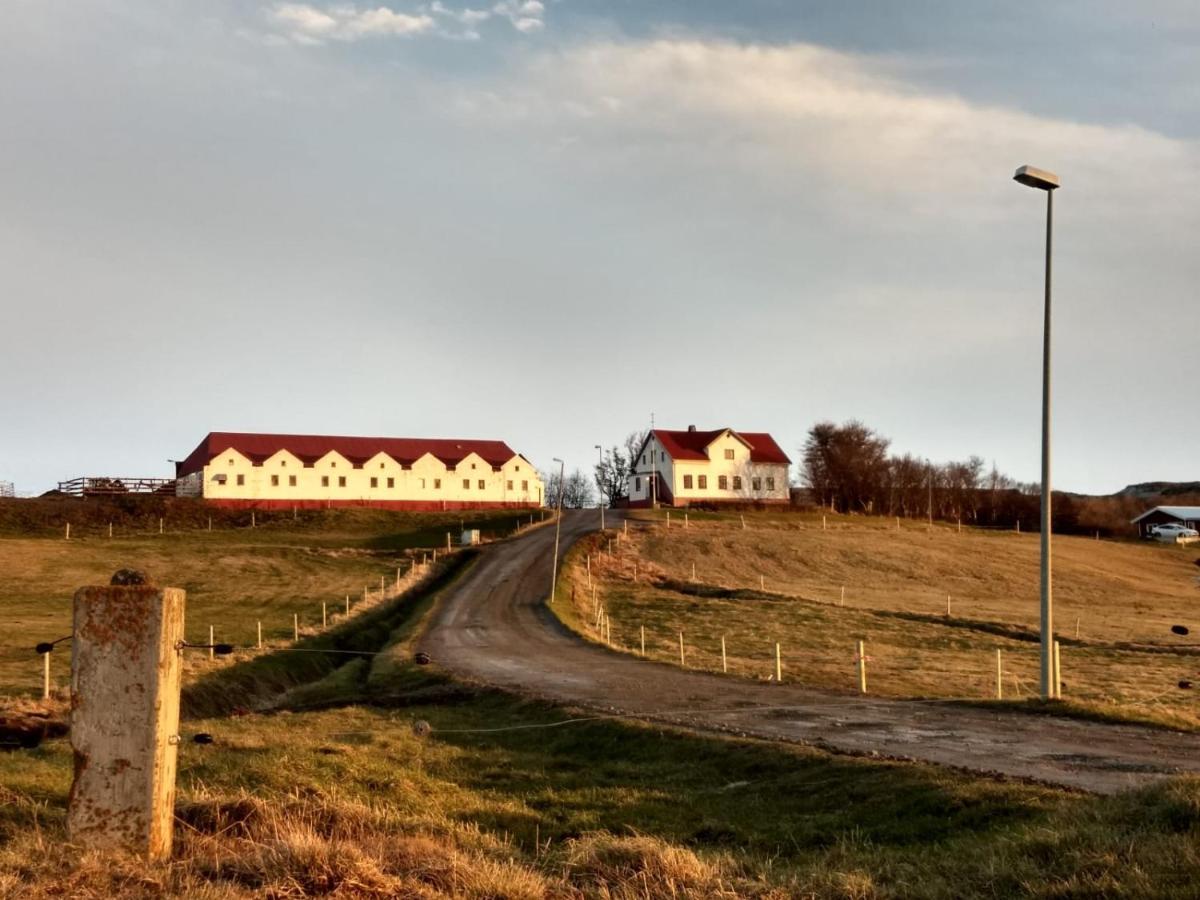 Helluland Guesthouse Saudarkrokur Buitenkant foto