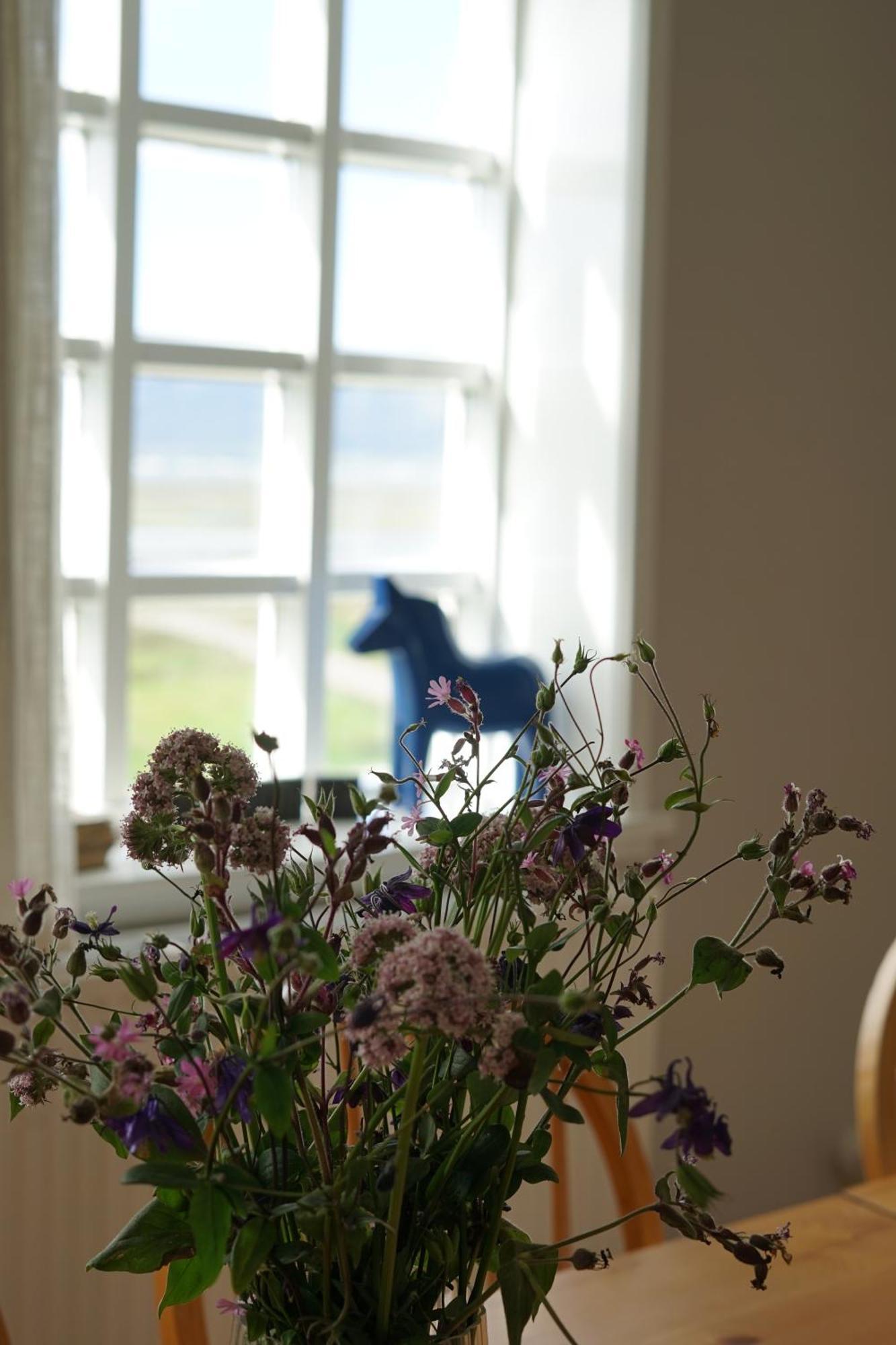 Helluland Guesthouse Saudarkrokur Buitenkant foto